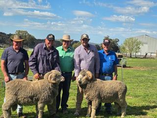 Trynow Merino stud rams average up by $300 at 40th annual Goolma sale