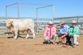 Ayr Charolais sets stud record top and average at 2026 on-property sale