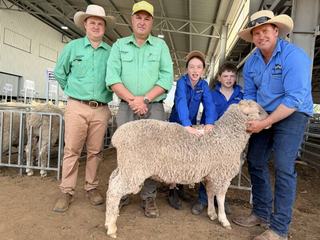 High demand for fat and muscle at Outback MPM's sell-out ram sale