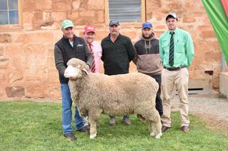 Yarrah Nominees continue strong support of Greenfields for lamb enterprise
