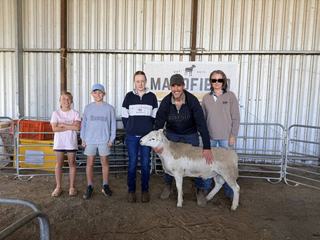 Manofield moves in successful direction with stronger ram sale competition
