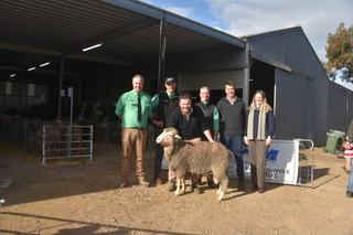 Million dollar ram sale as Leahcim Poll Merinos go from east to west