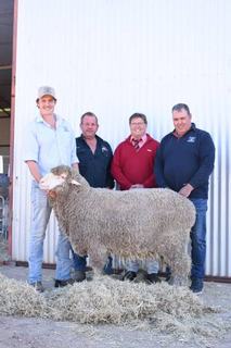Strong pastoral orders at Nyowee with rams to go throughout SA and into Vic