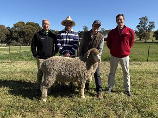 North Ashrose Premier 1742 son makes $10,000 top at on-property ram sale