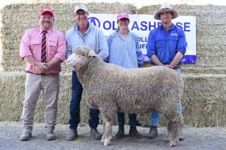 Top Old Ashrose rams to make their way to station country