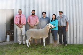 WA stud makes trek to Wingamin for special ram, as commercial buyers also compete strongly