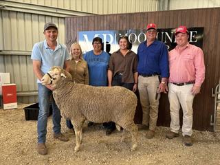 Strong commercial and stud support as average lifts at Moorundie Park