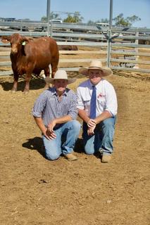 Santahat's bull sale grosses over $1 million with complete clearance