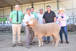 Springvale North's biggest sale to date could have seen more rams added
