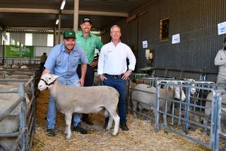 Strong Leachim White Suffolk sale a strong follow to huge Merino auction