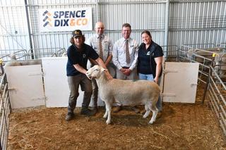 Ultra consistent sale as Elton Downs marks milestone with full clearance