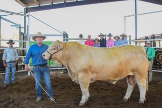 Moongool hits $100k top second year in a row at 2026 Charolais and Simbrah sale