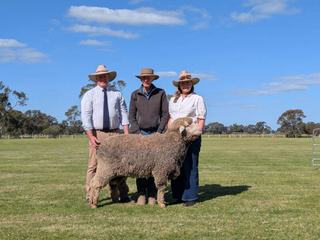 Fleece weight, dual-purpose demand pushes prices at Woodpark Poll Merino