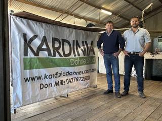 Kardinia Dohne stud equals top price and lifts average at annual ram sale