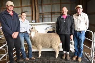 A fitting farewell for Manchester family as last ram sale held at Roseville