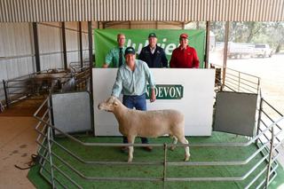 Bulk ram buying from loyal clients boosts Glen Devon Poll Dorset sale