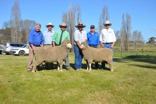 Five states compete as Gullendah clears increased offering of Merino, Dohnes