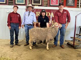 Buyers back Parkdale SRS Merino genetics seeking balanced sires at Dubbo sale