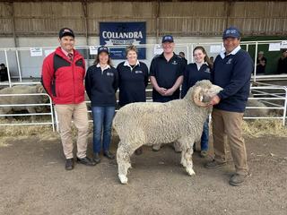 Collandra achieves healthy average and full clearance at on-property sale