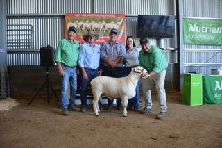 Interstate buyers drive up averages at Red Hill Australian White ram sale