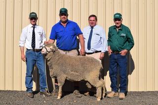 Rocklyn Merinos sale achieves higher price, higher average and lifts clearance