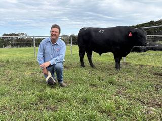 New farmers spend $30,000 on Murdeduke Angus' bulls to establish operation