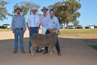Kerin Ag achieves complete 500-ram clearance, backing clients with market muscle