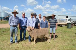Average jumps at milestone Allendale sale as it moves to next generation