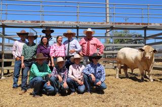 Record price at national sale rewards Charbray breeding standards: Welsh