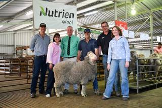 Toland Poll Merinos enjoy stronger sale as buyers invest in proven genetics