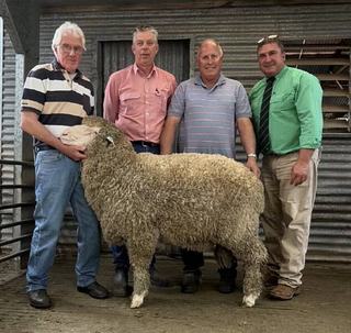 'Industry leading' ram tops Rock-Bank Merino stud's wool-focused ram sale