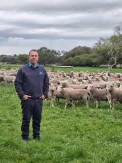 National demand drives 97 per cent clearance in almost 800-head ram sale