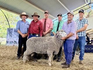 Low-input, high-output Merinos drive strong demand at Cassilis Park