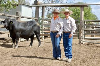 Triple B Brangus bulls sell to two states at on-property sale at Dingo