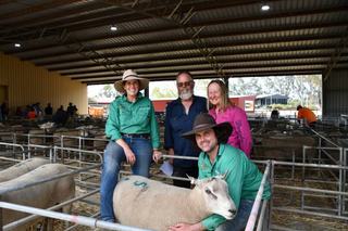 Vortex celebrates strong sale result as demand for sheep genetics returns