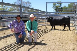 Clunie Range defies dry season with 100pc clearance at debut Taroom sale
