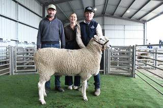 Glenlee Park rams top at $10,000 in strong annual sale result