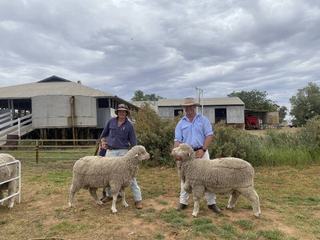 Strong wool and sheep markets deliver a solid sale for Mullengudgery