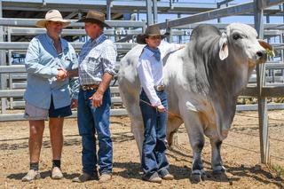 A family legacy realised as bull equals Rocky Brahman Sale record: day two wrap