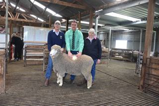 Interstate buyers show their faith in Corriedale breed at joint auction
