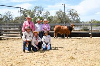 Rocky Brahman Week day three: bull equals red Brahman sale record at CQLX