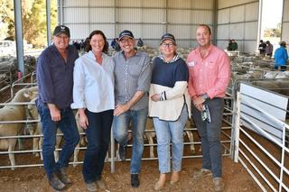 Paxton three-breed sale achieves strong result along with major stud news