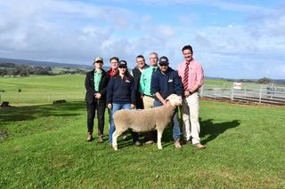 Ella Matta's three-breed showpiece ram sale soars to new heights on KI