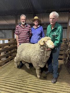 Top-priced Kilfeera Park Merino ram heads down the road to a neighbour