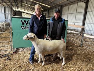 Wakeleigh records steady average as operation hands over to next generation