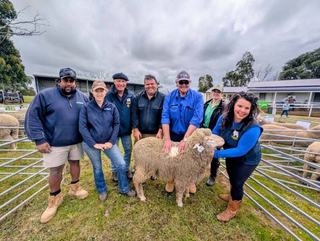 Repeat buyers seek dual-purpose performance at Taljar Polwarths ram sale