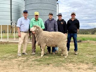 Phenotype and fleece weight the drivers for premium prices at Laraben sale
