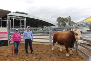 Inaugural Dalby multi-breed sale tops at $11,000 as new stud takes shape