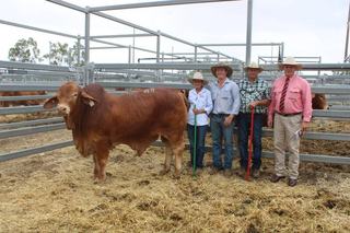Why visual appraisal still trumps data for this beef producer at Droughtie sale