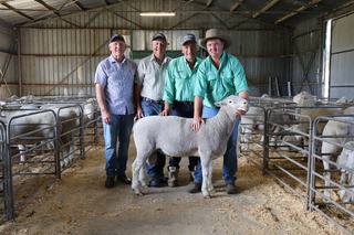 Sundermanns close Poll Dorset chapter with strong final ram sale result
